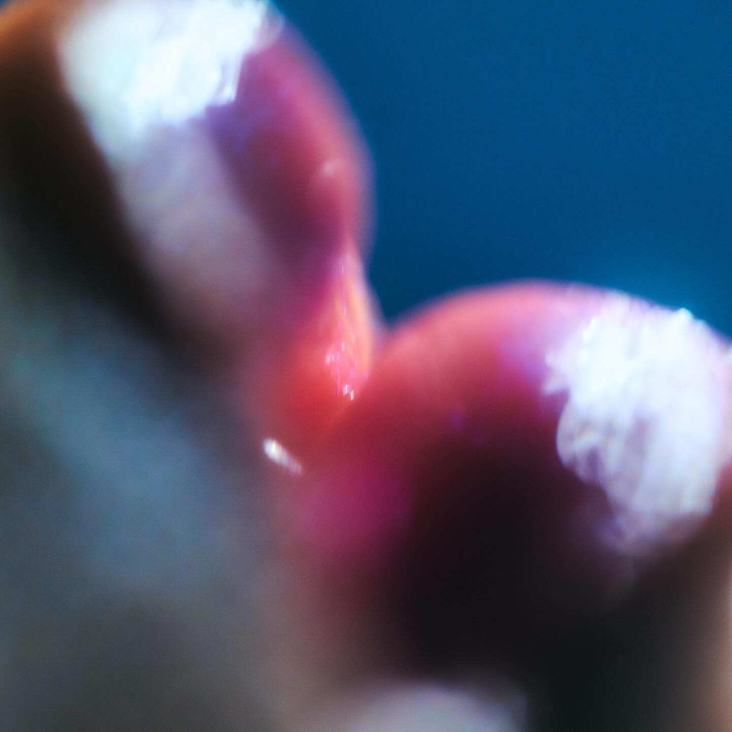 Pii – 街角ジオメトリー;